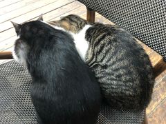 -吉姆餐厅