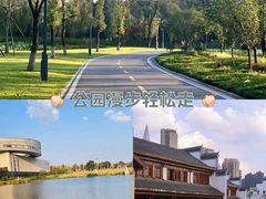 -洋湖国家湿地公园