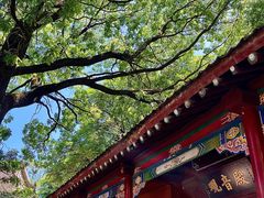 -少华山国家森林公园
