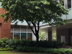 -香港大学
