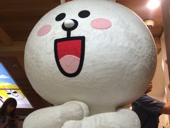 -line friends(明洞旗舰店)