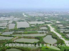 桑基鱼塘-丝绸小镇荻港古村