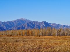 -野鸭湖国家湿地公园
