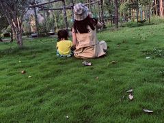 -合肥滨湖国家森林公园