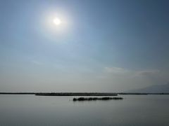 -哈素海
