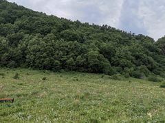 -白草畔自然风景区