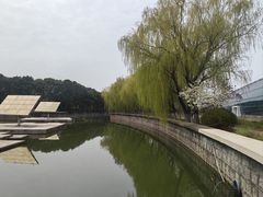 -上海鲜花港