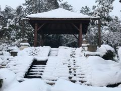 -天目湖涵田半山温泉