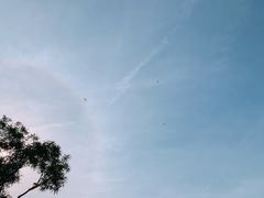 -菊上料理(蜀山银泰百货店)