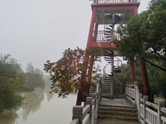 -中国扬子鳄村