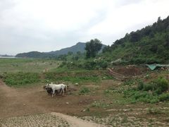 十三陵水库2-十三陵水库