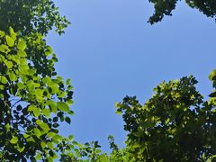 -大蜀山国家森林公园