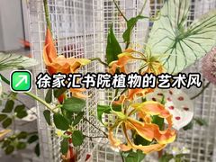 -徐家汇书院