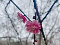 -南京市江宁方山