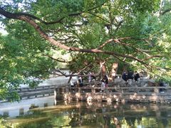 -西园戒幢律寺