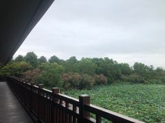 二楼-东滩湿地公园观海楼餐厅