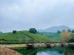 -帐篷客·溪龙茶谷度假酒店