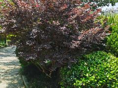 -杭州半山国家森林公园