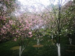 -南山植物园