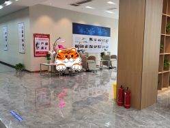 -碧莲盛·不剃发植发