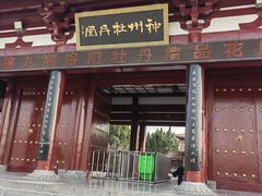 -神州牡丹园