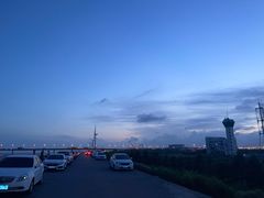 -南汇新城海滩