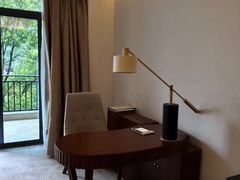 -宜春明月山维景国际温泉度假酒店