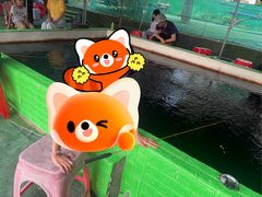 -会江钓鱼钓虾烧烤场