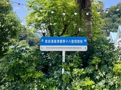 -清泉湾生态旅游度假区