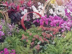 -北京植物园-展览温室