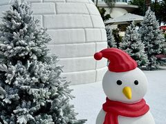 -汕头中海黄金海岸水上乐园