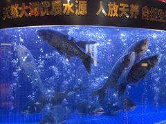 -潇湘码头·鲜湘菜(清河店)