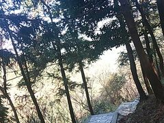 -北仑森林植物园