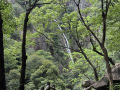 -大鄣山卧龙谷景区