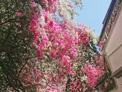 -深圳国际园林花卉博览园