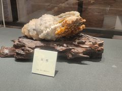 -大连自然博物馆·地球展厅