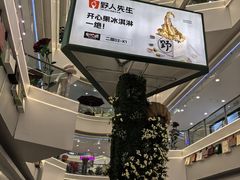 -野人先生Gelato(上海长宁龙之梦店)