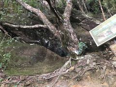 -七娘山