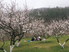 -棒棰岛宾馆景区