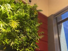-巴奴毛肚火锅(广益哥伦布店)