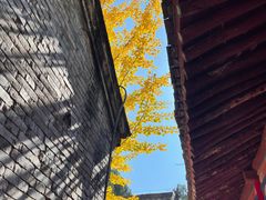 -少华山国家森林公园