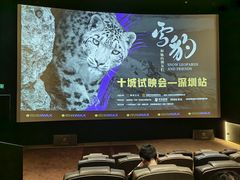 -英皇电影城(平安金融中心IMAX激光店)