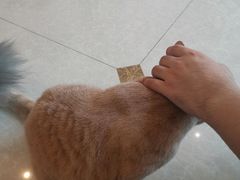 -Catmate·猫肥家润(金润铂宫店)