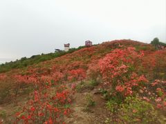-瑞安圣井山景区