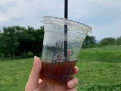 -良渚古城遗址公园