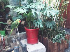 -丽江庭院之丽江往事(安定门店)