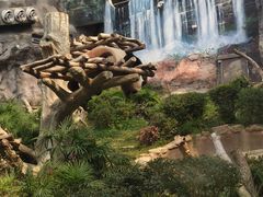 -石排湾郊野公园