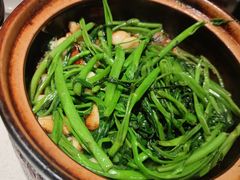 -煲煲好(朝阳门店)