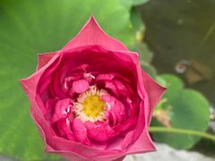 -福州大学(旗山校区)