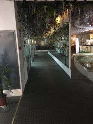 点击看大图 -Sunny喜铺婚礼策划(东部店)